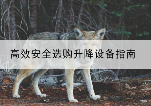 东坡升降货梯厂家推荐-*安全选购升降设备指南