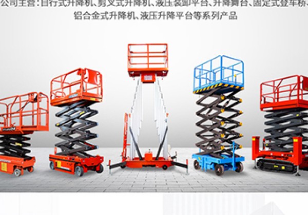 东坡​出口成为核心增长引擎