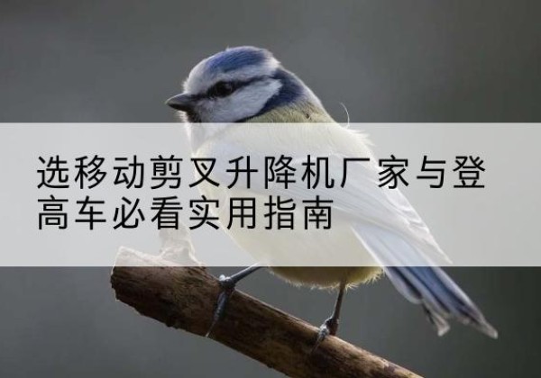 东坡电动升降机厂家-选移动剪叉升降机厂家与登高车必看实用指南