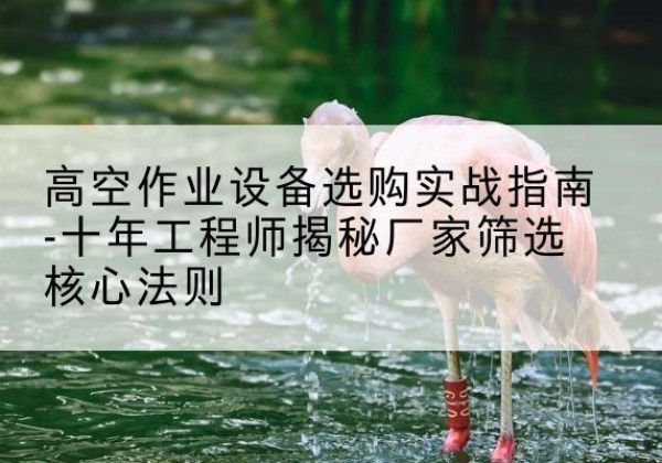 东坡剪叉式升降机厂家-高空作业设备选购实战指南-十年工程师揭秘厂家筛选核心法则