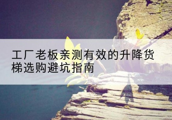 东坡升降货梯怎么选-工厂老板亲测有效的升降货梯选购避坑指南